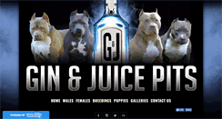 Desktop Screenshot of ginandjuicepits.com